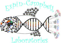 Logo-Zebrafish